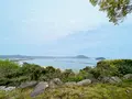 唐津城の写真_1591840