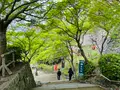 唐津城の写真_1591845