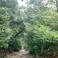 東霧島神社の写真_1606311