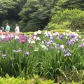 二の丸庭園の写真_1610638