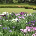 二の丸庭園の写真_1610644