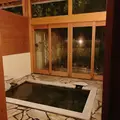 きのこ2世号の写真_1620493