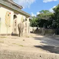 熊本市動植物園の写真_1620502