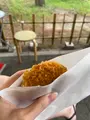 げんぞうの写真_1642174