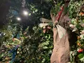 レインフォレスト カフェ・トーキョーの写真_1655654