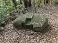石城山神籠石の写真_1663572