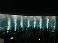葛西臨海水族園の写真_1672699