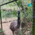 ネオパークオキナワの写真_1732562