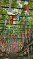 如意輪寺 （かえる寺）の写真_1746983