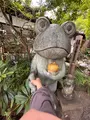 如意輪寺 （かえる寺）の写真_1746984
