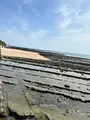青島神社の写真_1747004