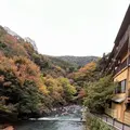紫雲荘の写真_1799444