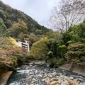 紫雲荘の写真_1799445