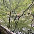 紫雲荘の写真_1799452