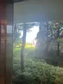 松島 一の坊の写真_1803886