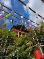 祐徳稲荷神社の写真_1803904