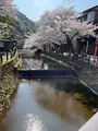 城崎温泉の写真_1804324