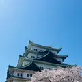 名古屋城の写真_1805246