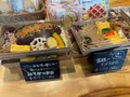 馬事公苑の写真_1814522