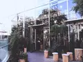ニコライバーグマン ノム（Nicolai Bergmann NOMU ）の写真_208863