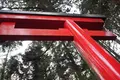 箱根神社の写真_226966