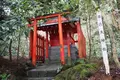 箱根神社の写真_226967