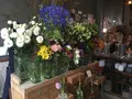 from afar（フロムアファー ）の写真_228065
