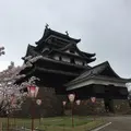 松江城の写真_228540