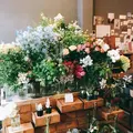from afar（フロムアファー ）の写真_232183