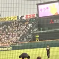 阪神甲子園球場の写真_240433