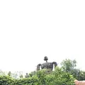 三鷹の森ジブリ美術館の写真_244203