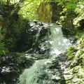 県立自然公園宇津江四十八滝の写真_244578