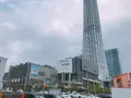 東京スカイツリーの写真_253445