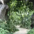 茨城県植物園の写真_254769