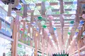 川越氷川神社の写真_255655