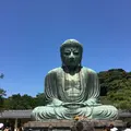 鎌倉大仏（高徳院）の写真_265446