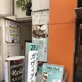 欧風カレー ガヴィアルの写真_270272