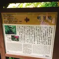 明月院（あじさい寺）の写真_276970