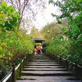 明月院（あじさい寺）の写真_276973
