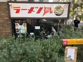 ラーメン凪 豚王 渋谷店の写真_286785