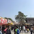岡崎城の写真_307850