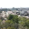 岡崎城の写真_307856