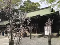 川越氷川神社の写真_309551