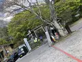 しげの屋の写真_318257