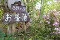 忍野八海の写真_318552