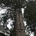 三峯神社の写真_318806