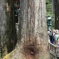 三峯神社の写真_318808