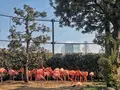 上野動物園の写真_321944