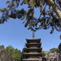 醍醐寺の写真_324489