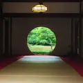明月院（あじさい寺）の写真_331191